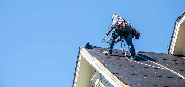 Best Roof Leak Repair  in Venice Gardens, FL